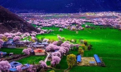 【新滇藏线—赏花之旅】大理—怒江—丙察察—仁龙巴冰川—然乌湖—波密桃花沟—林芝桃花—索松村—山南—经典12日游（商务车团）
