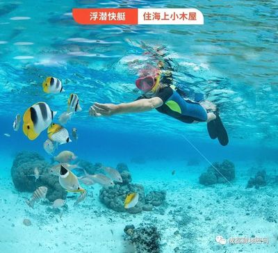 【仙本那五天四晚跳岛游】马步岛—卡帕莱浮潜—睡美人岛—曼达步湾—军舰岛—马达京拖尾沙滩—丁巴丁巴岛—邦邦岛！