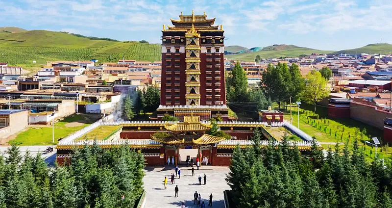图片