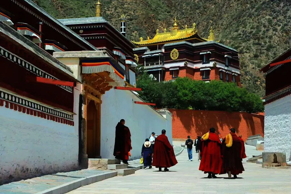 图片