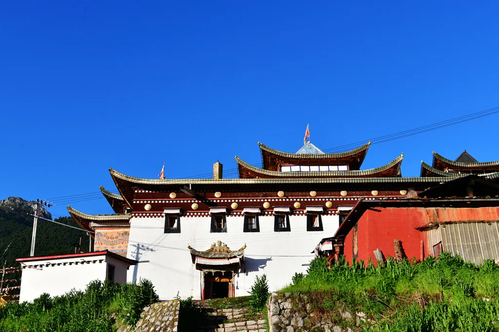 图片